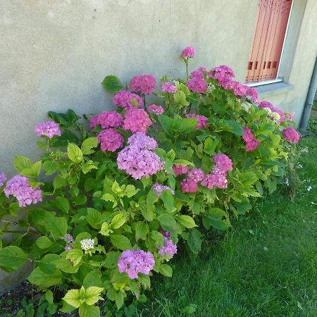 Poezat Maison Renovee Avec Cour Privee, Proche De Gannat, 3 Chambres, Animaux Acceptes, Equipements Modernes. - Fr-1-489-37 מראה חיצוני תמונה